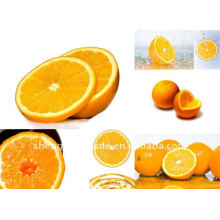 excelente doce laranja frutas frescas